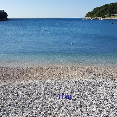 Vito * Pula
